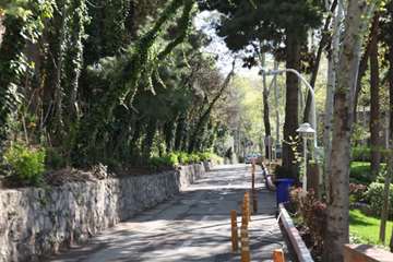 بهار دانشگاه 1399